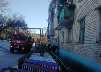 Из дома в амурском поселке пожарные спасли десять человек