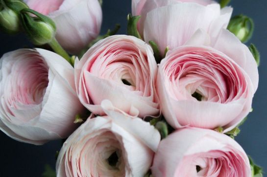 Букет за 100 тысяч: амурчане начали активно заказывать цветы к 8 Марта