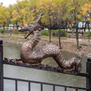 В благовещенском парке Дружбы установили бронзового дракона
