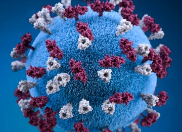 В Великобритании зафиксирован самый  затяжной случай заболевания коронавирусом