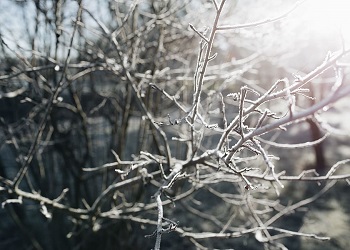 Ночные температуры в Приамурье вновь преодолеют отметку ниже -40°