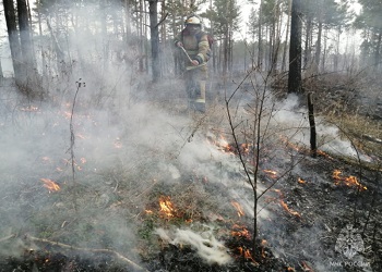 Лесные пожары на севере Приамурья тушат больше 500 человек