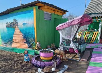 Многодетная семья в Свободненском районе превратила свой двор в сказку