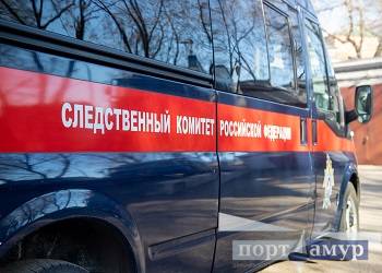 В Благовещенске главу компании обвиняют в «сокрытии» 3 миллионов рублей