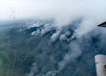 В Приамурье лесные пожары тушат 650 человек