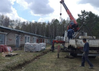 В Шимановске в приюте для животных идут отделочные работы