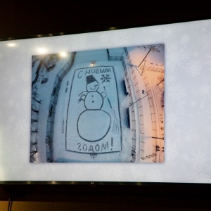 В Благовещенске подвели итоги конкурса "Самый-самый снеговик"