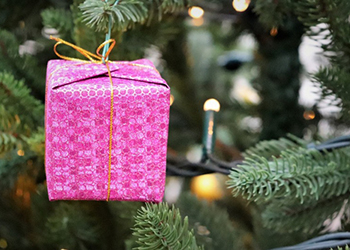 Подарки с «елки желаний» в Благовещенске получат дети без мам