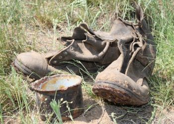 Останки амурского красноармейца нашли в Волгоградской области