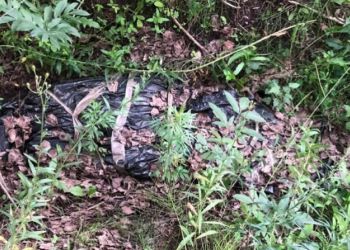 В овраге под Хабаровском нашли огромный черный мешок с останками 