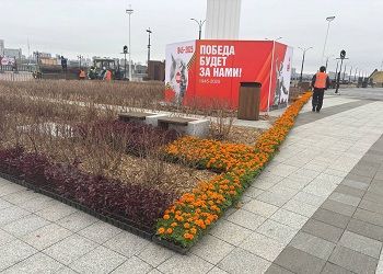 Благовещенск расцвел ко Дню Победы