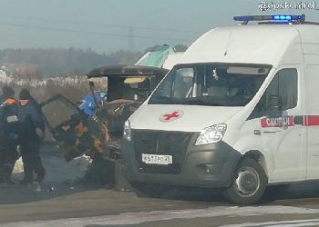 В аварии с рейсовым автобусом в Приамурье пострадали 8 человек