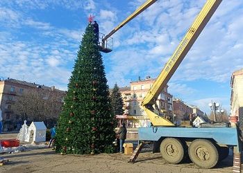 Амурская область подарила новогоднюю елку Амвросиевскому району