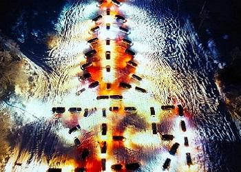 В Приамурье к Новому году «построят» автоелку 