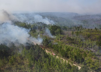Два природных пожара действуют в Приамурье 