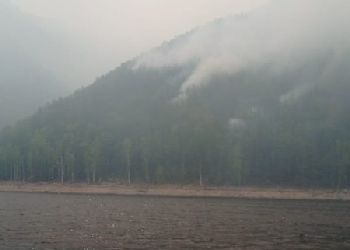 Семь природных пожаров потушили в Приамурье за сутки