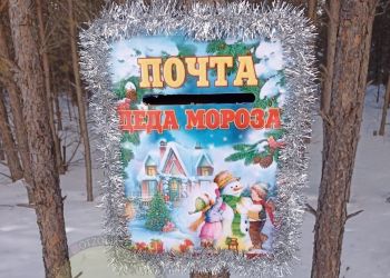 «Лесную» почту Деда Мороза открыли в Шимановске
