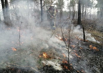 Три природных пожара тушат в Приамурье 