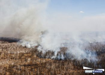 Амурские огнеборцы потушили два лесных пожара