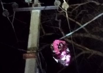 Жители Зеи остались без электроснабжения из-за воздушных шаров