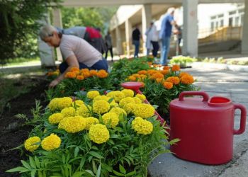 Территорию главной больницы Приамурья украсили почти две тысячи цветов