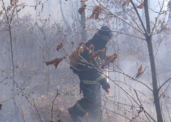 Лесной пожар остановили в нескольких километрах от амурского села