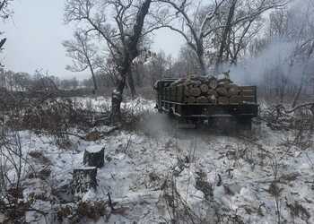В Приамурье осудили «черных лесорубов», которые уничтожили монгольские дубы