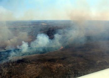 В Приамурье действует 15 природных пожаров