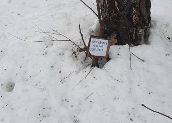 В московском лесу обнаружен памятник несчастной и недолгой любви