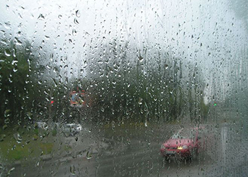 В Приамурье дожди и порывистый ветер