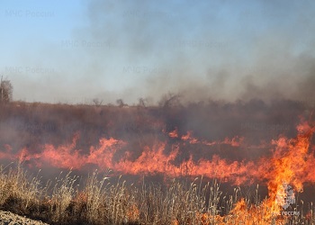 В Приамурье пожарная опасность в лесах может стать чрезвычайной