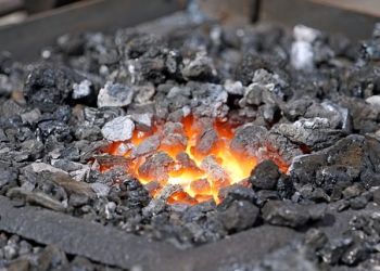В Амурской области семьи участников СВО обеспечат углем
