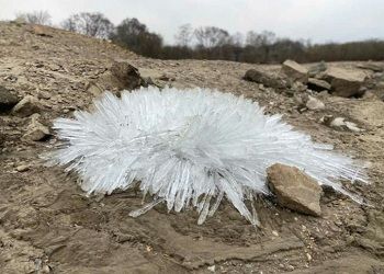 Ледяные хризантемы нашли на берегу Зеи