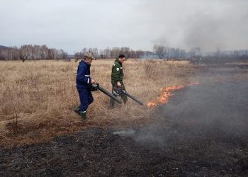 В Приамурье и еще ряде регионов прогнозируют риски возникновения пожаров в ближайшие дни