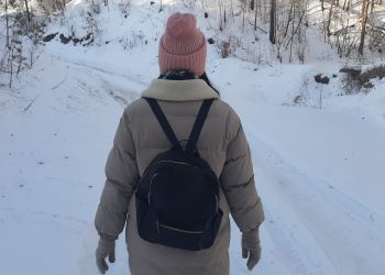 Из-за морозов на «дистанционку» перешли школьники Белогорского округа