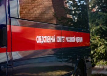 В Новосибирской области двухлетнего мальчика раздавило газонокосилкой