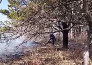 В Амурской области потушили два лесных пожара