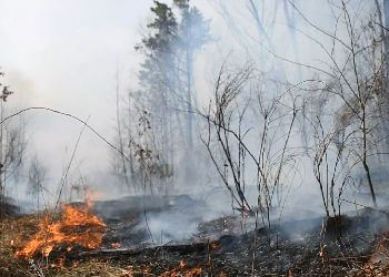 Крупный природный пожар потушили на севере Приамурье
