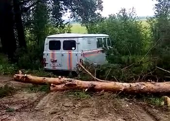 Ветер повалил деревья в амурских поселках
