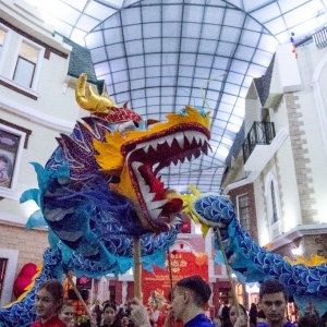 Китайский Новый год в Благовещенске встретили танцем дракона