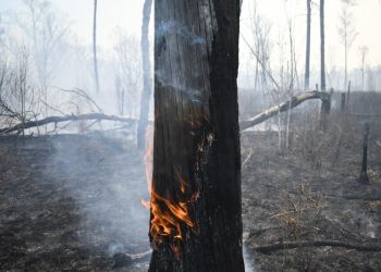 В Мазановском районе мужчина хотел сжечь мусор и случайно спалил 25 метров забора