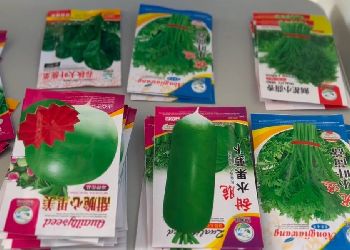 В Приамурье из Китая хотели ввезти подозрительные семена
