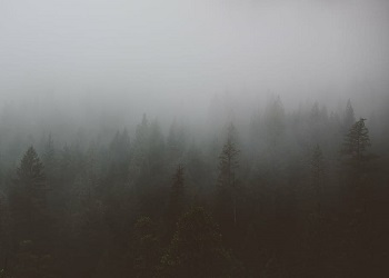 Морозный туман ожидается в Приамурье