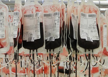 Благовещенцы могут массово укрепить свое здоровье и сдать кровь