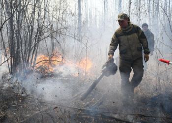 Василий Орлов призвал применять максимальные меры наказания для поджигателей