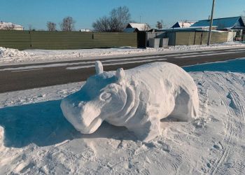 Житель Шимановска создает снежные фигуры к Новому году