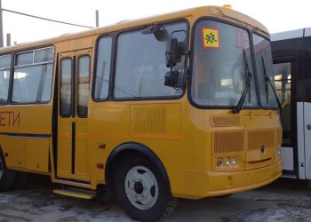В Приамурье 150 миллионов направят на оборудование остановок для школьных автобусов