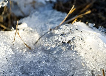 В Амурской области в понедельник потеплеет до +2°