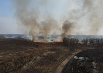 Четыре природных пожара тушат в Приамурье 