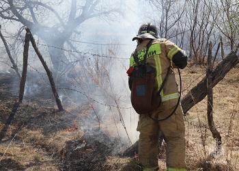 В Приамурье этой весной произошло почти 120 лесных пожаров